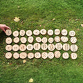 Subitising and Conservation Number Cookies - 40 Piece Set