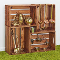 Curiosity Crates - Set of 4