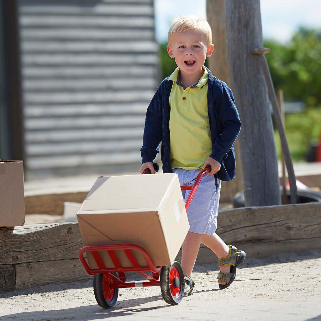SACK BARROW MINI VIKING