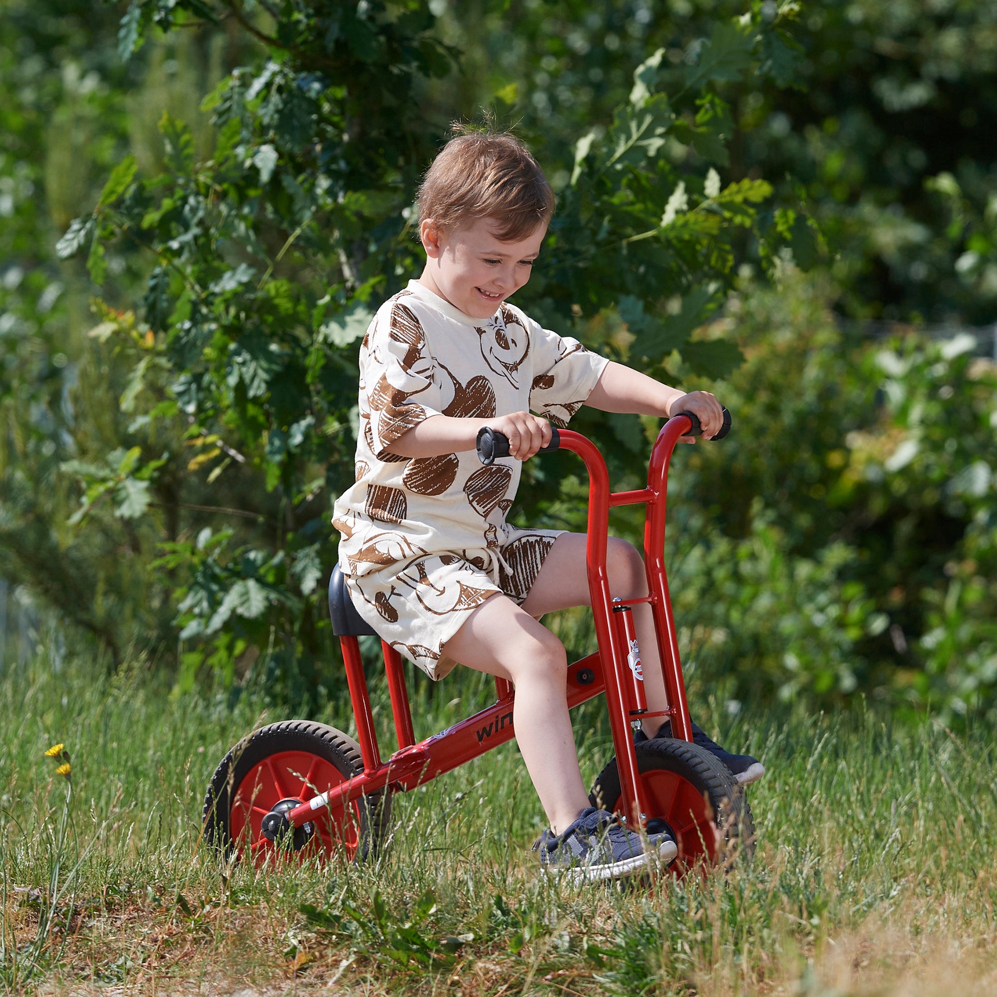 BICYCLE - LARGE VIKING