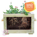 Watch Me Grow Planter