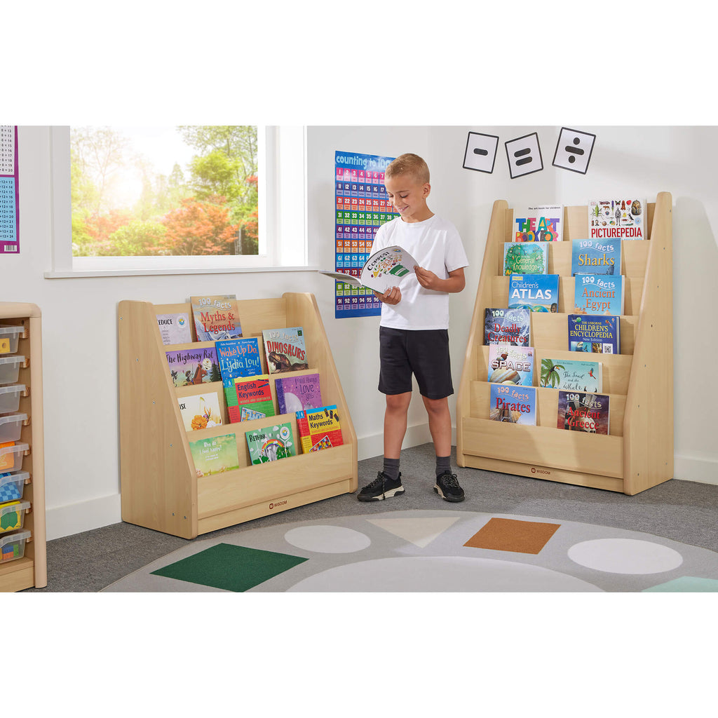 ELEGANT BASIC BOOK STORAGE