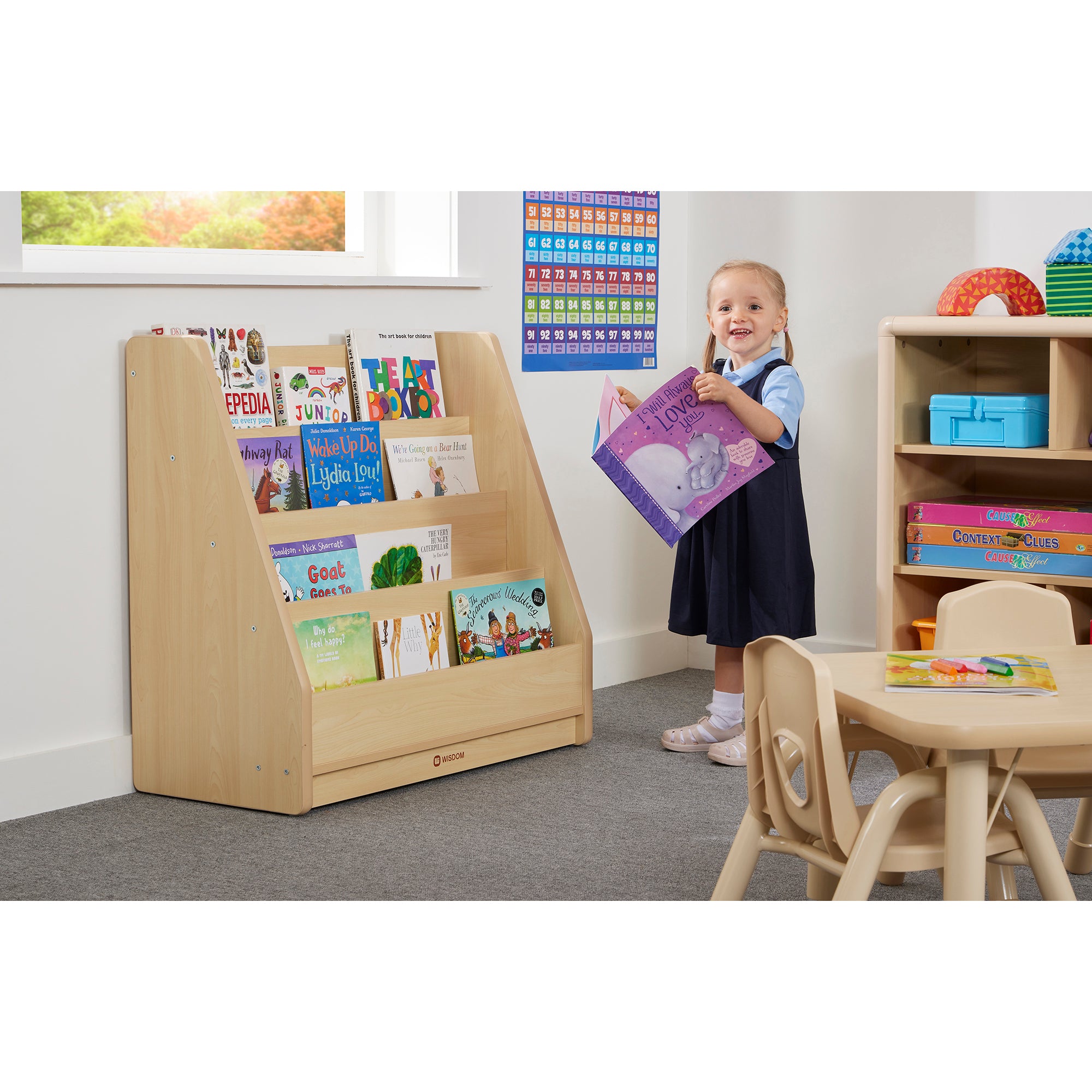 ELEGANT BASIC BOOK STORAGE