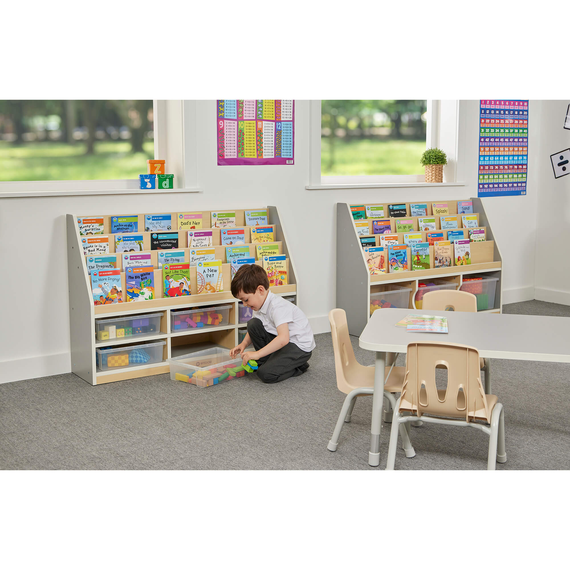 Thrifty 6 Compartment Book Storage with 6 small clear trays