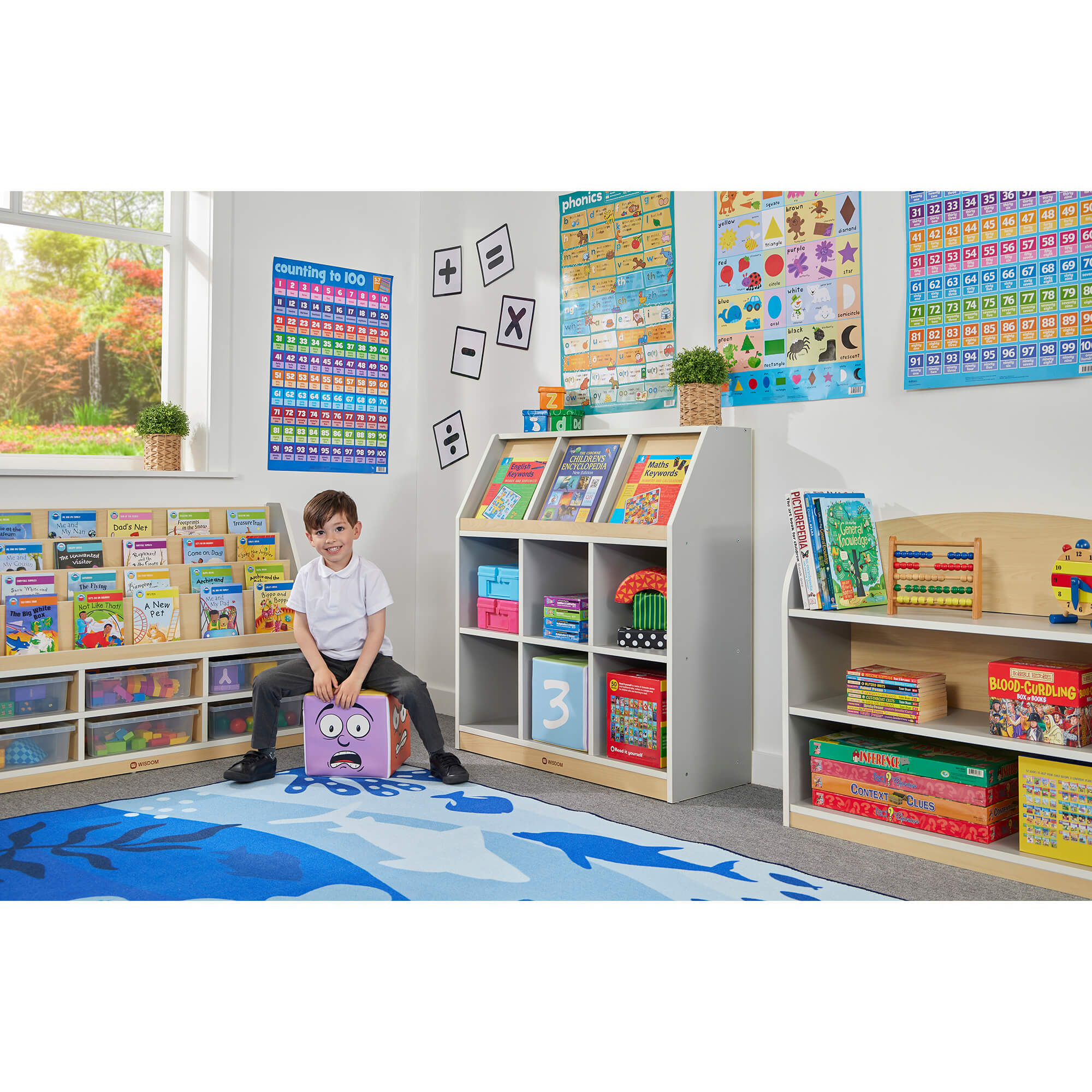 THRIFTY BOOKCASE & DISPLAY UNIT