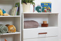 DRAWER UNIT (WHITE)