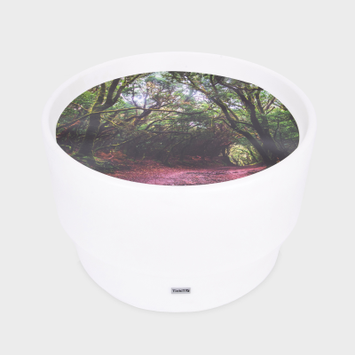 DISCOVERY GLOW TABLE + FOREST DISCOVERY PLAY MAT