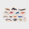DISCOVERY SEA TABLE BUNDLE