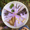 DISCOVERY GLOW TABLE + WOODEN DIVIDERS SET