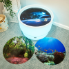 DISCOVERY GLOW TABLE + 3 DISCOVERY PLAY MATS