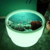 DISCOVERY GLOW TABLE + UNDER THE SEA DISCOVERY PLAY MAT