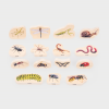 DISCOVERY JURASSIC BUNDLE